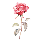 DTF Transfer Sheet - Love Grows Here