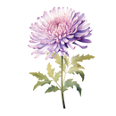 DTF Transfer Sheet - Love Grows Here