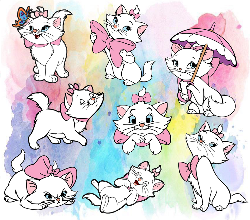 Marie 20oz Skinny Tumbler Printed Paper