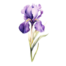 DTF Transfer Sheet - Love Grows Here