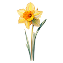 DTF Transfer Sheet - Love Grows Here