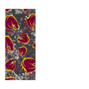 Mobile Phone Case Sublimation Print- Teams