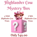 Highlander Cow DTF MYSTERY BOX