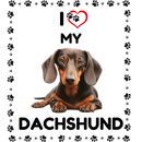 I LOVE MY DACHSUND  20oz Skinny Tumbler Printed Paper