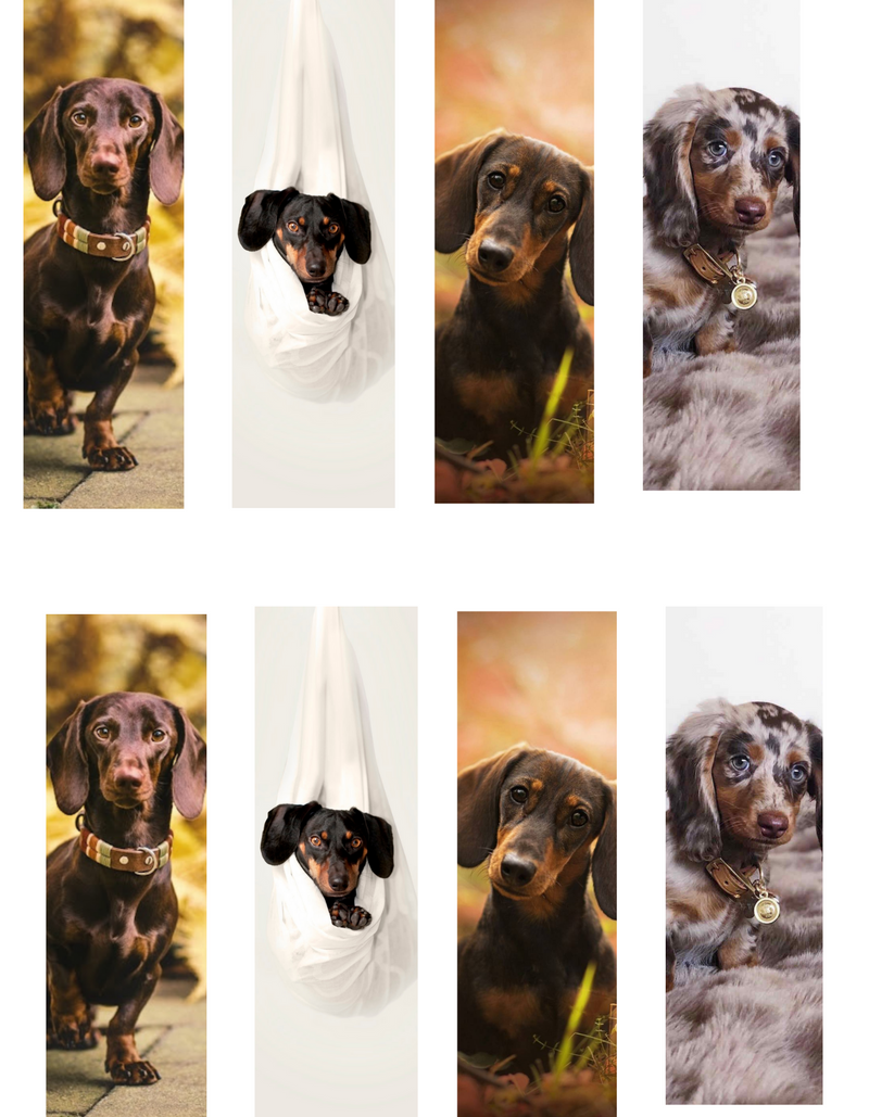 Sublimation Pen Wrap - Dachshund