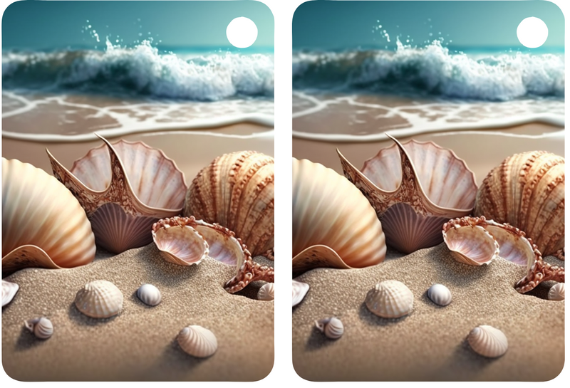 Seashells Sublimation Print to fit Sublimation Rectangle hardwood Keyrings.