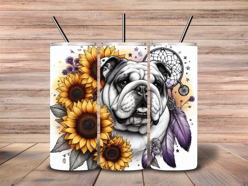 English Bulldog