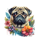 DTF Transfer Sheet - Floral Pug Dog