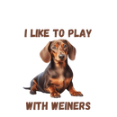 DTF Transfer Sheet - I Like To Play