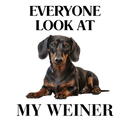 DTF Transfer Sheet - Everyone Look