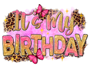 DTF Transfer Sheet - It's My Birthday