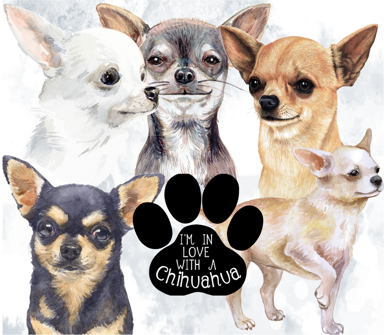 I Love my Chihuahua 20oz Skinny Tumbler Printed Paper