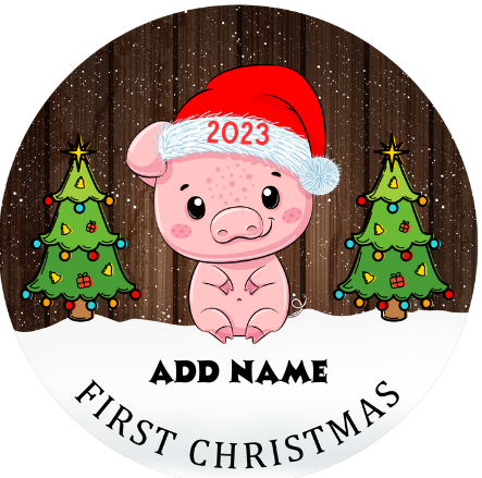 First Christmas Baby Animals Personalized Christmas Hanging Ornament Sublimation Prints