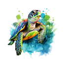 DTF Transfer Sheet - Green Sea Turtle