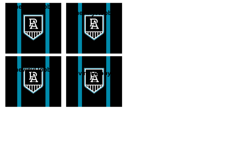 AFL Port Adelaide 20oz Tumbler and Square Coaster Print