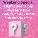 Highlander Cow Dtf Mystery box