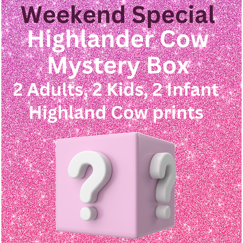 Weekend Special. Highlander Cow Dtf Mystery box