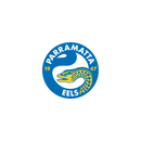 DTF Transfer Sheet - Footy