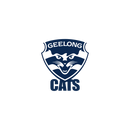 DTF Transfer Sheet - Footy