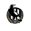 DTF Transfer Sheet - Footy