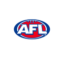 DTF Transfer Sheet - Footy