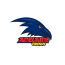 DTF Transfer Sheet - Footy