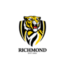 DTF Transfer Sheet - Footy