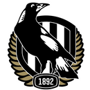 Collin-wood printed Sublimation Paper for 11oz mug