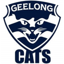 Cats 20oz Skinny Tumbler Printed Paper