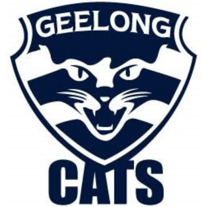 Cats 20oz Skinny Tumbler Printed Paper