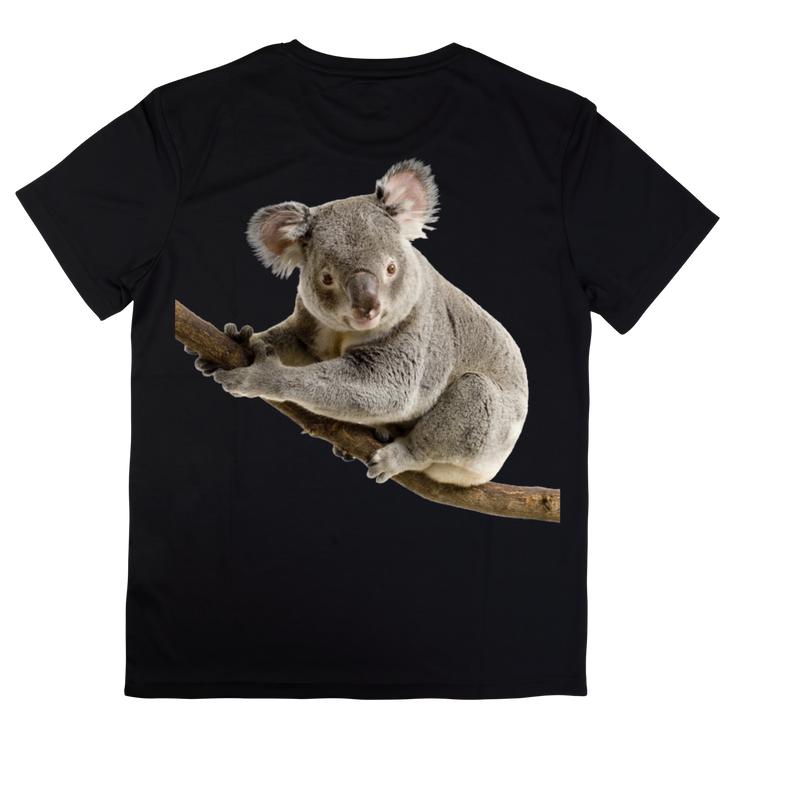 DTF Transfer Sheet - Koala