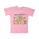 DTF Transfer Sheet - Promoted to Big Sister