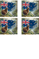 Kiwi - Sublimation Coaster Prints 4 Per Pkt 4"x4"