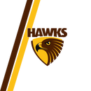 Hawk 20oz Skinny Tumbler Printed Paper