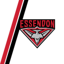 Essendon 20oz Skinny Tumbler Printed Paper