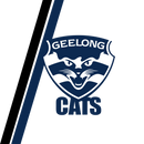 Cats 20oz Skinny Tumbler Printed Paper