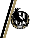 Crows 20oz Skinny Tumbler Printed Paper