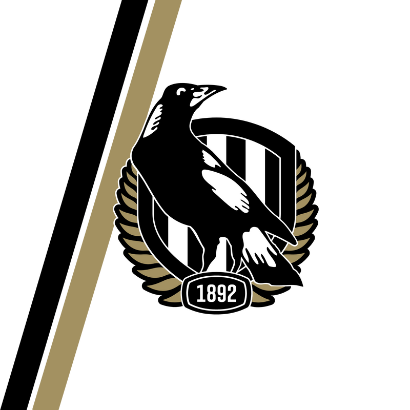 Crows 20oz Skinny Tumbler Printed Paper