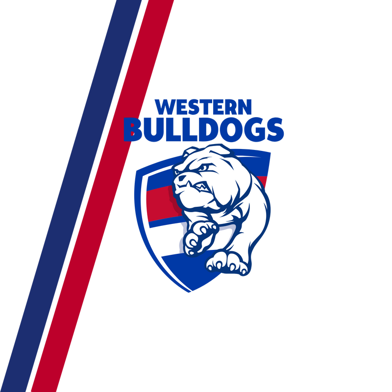 Bulldogs 20oz Skinny Tumbler Printed Paper