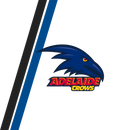 Adelaide 20oz Skinny Tumbler Printed Paper