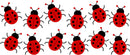 Lady Beetles printed Sublimation Paper for 11oz mug
