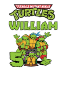 DTF Transfer Sheet - Custom Birthday Design