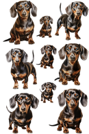 UV DTF - STICKER SHEETS