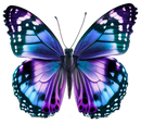 DTF Transfer Sheet - Blue/Purple Butterfly