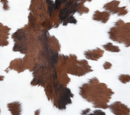20oz Skinny Tumbler Printed Paper - Cowhide