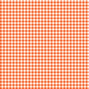 Gingham 20oz Skinny Tumbler Printed Paper