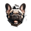 DTF Transfer Sheet - 3D French Bulldog
