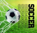 20oz Skinny Tumbler Printed Paper - Soccer
