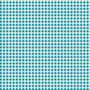 Gingham 20oz Skinny Tumbler Printed Paper