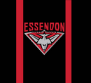 AFL Essendon 20oz Tumbler and Square Coaster Print